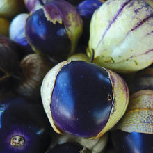 Load image into Gallery viewer, Purple Tomatillo
