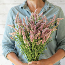 Load image into Gallery viewer, Flamingo Feather Celosia
