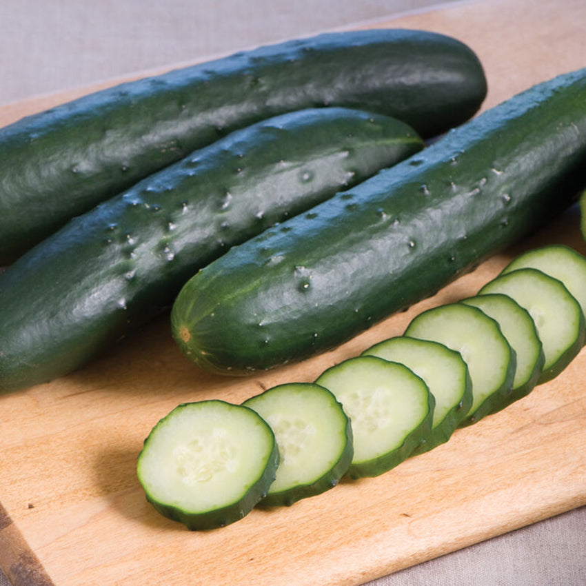 Cucumber
