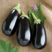 Load image into Gallery viewer, Nadia Eggplant
