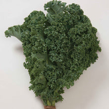 Load image into Gallery viewer, Curly Kale
