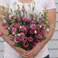 Load image into Gallery viewer, Lisianthus
