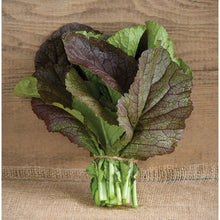 Load image into Gallery viewer, Mustard Greens

