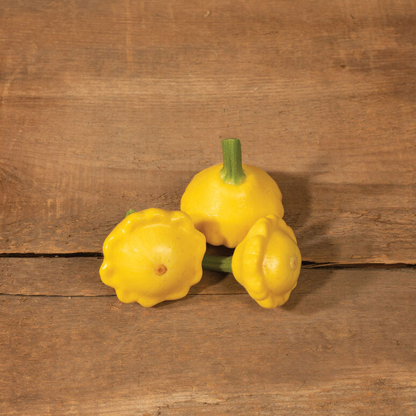 Patty Pan Squash