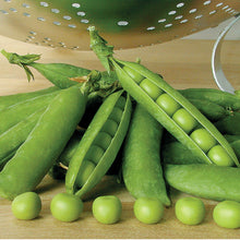 Load image into Gallery viewer, Peas
