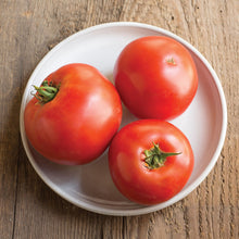 Load image into Gallery viewer, Salsa Garden
