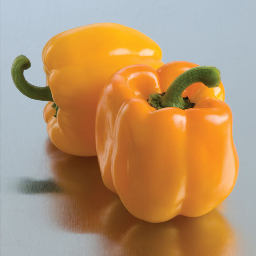 Sweet Sunrise Bell Pepper