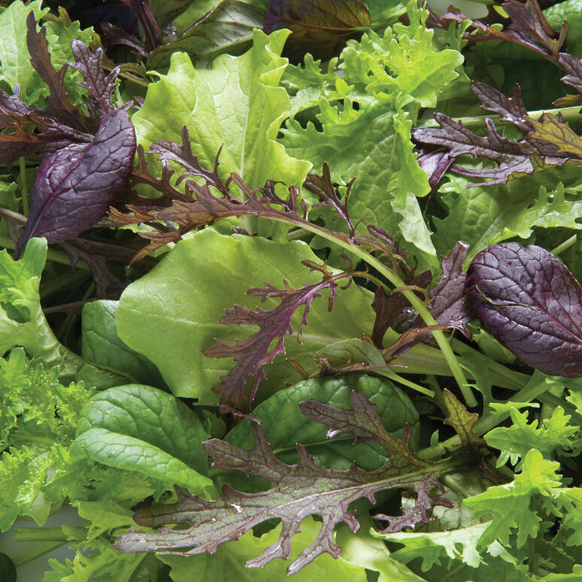 Premium Greens Mix